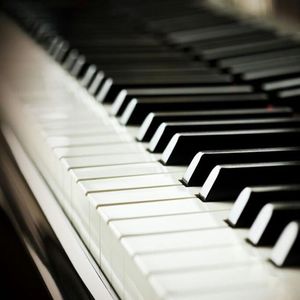 中国帅小伙操母兽
