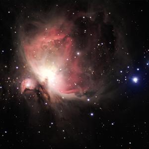 中国帅小伙操母兽
