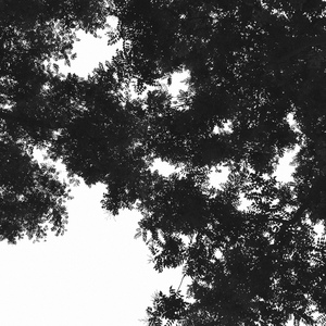 中国帅小伙操母兽
