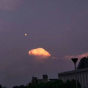 中国帅小伙操母兽
