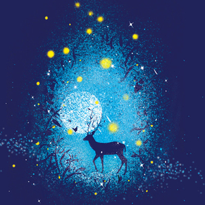 中国帅小伙操母兽
